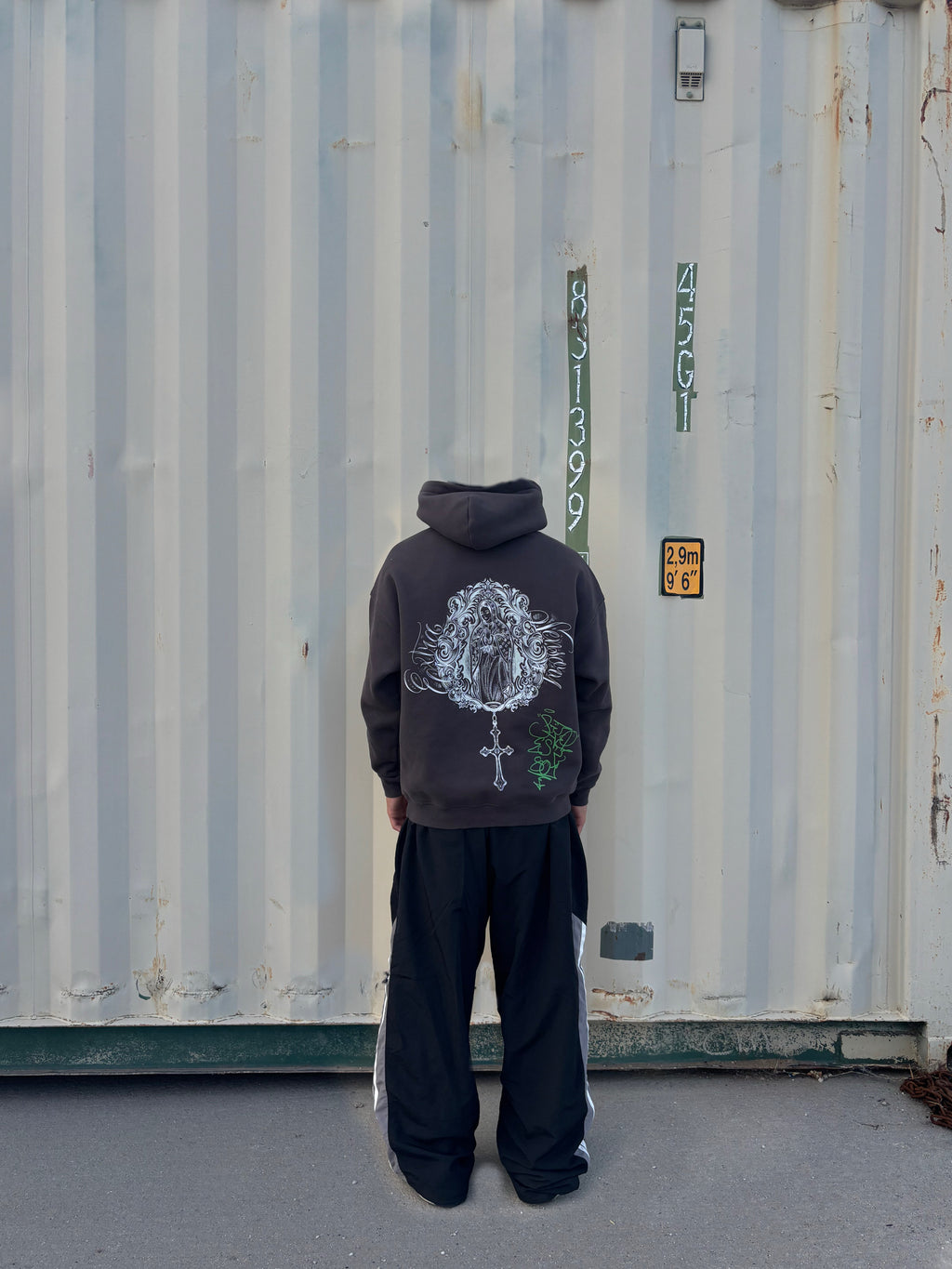 Extrasensory hoodie