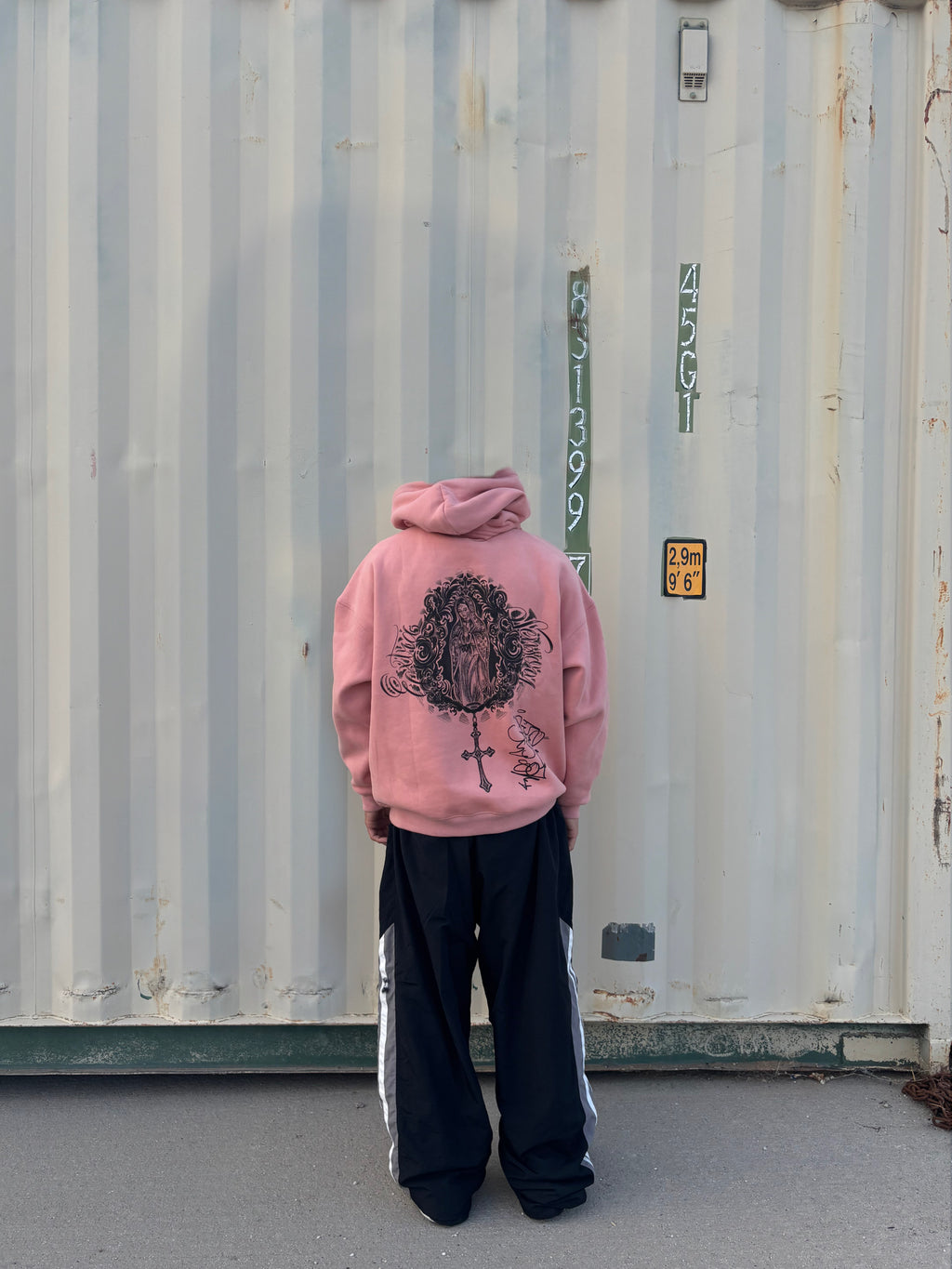 Extrasensory hoodie